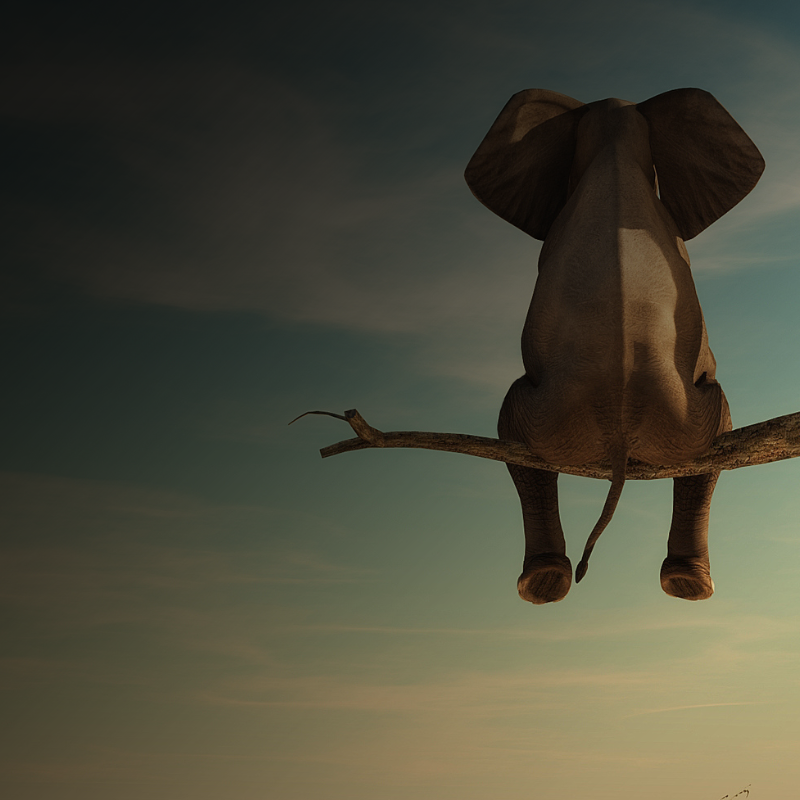 Marketing Harmony – The Melody of Success