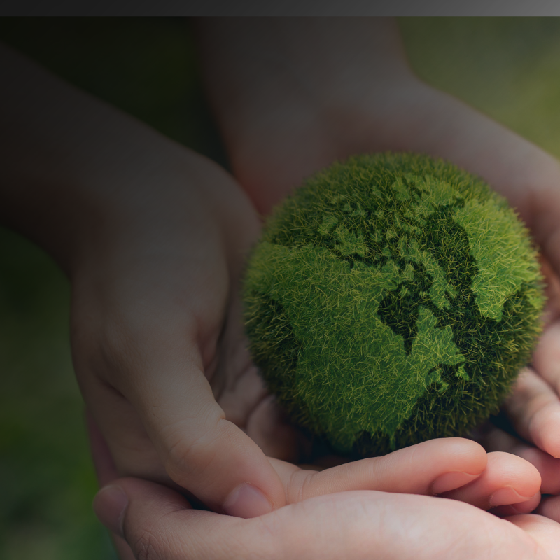 The Rising Pressure to be Greener